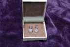 Ashlyn Ave Snowflake Earrings Valued at $190